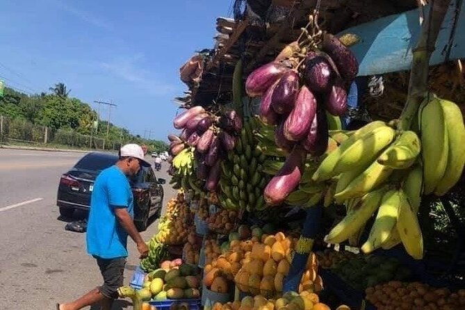 City and Country Puerto Plata History and Beach - An In-Depth Look at the Puerto Plata History and Beach Tour