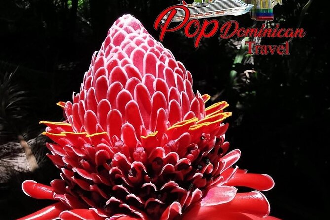 Valle Taino Tropical Park and plantation in Puerto Plata - Key Points