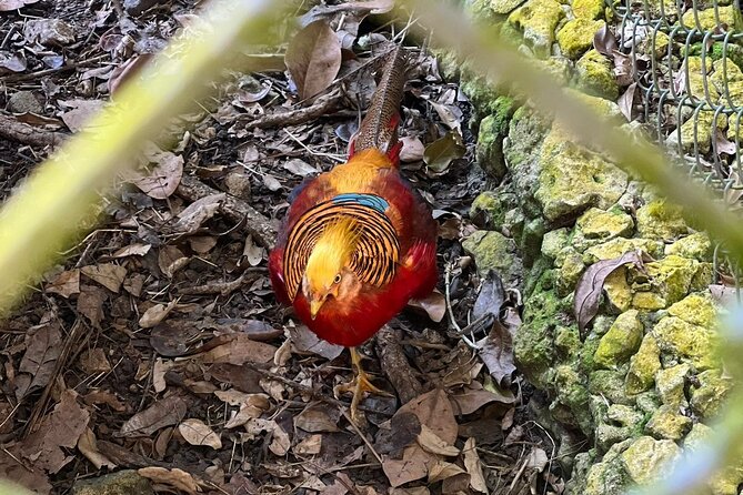 Valle Taino Tropical Park and plantation in Puerto Plata - Who Will Love This Tour?