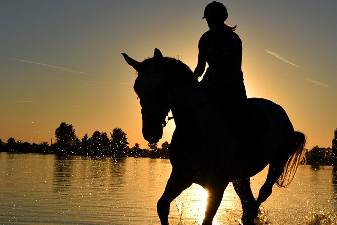 Horseback Ride Through Puerto Plata - Key Points