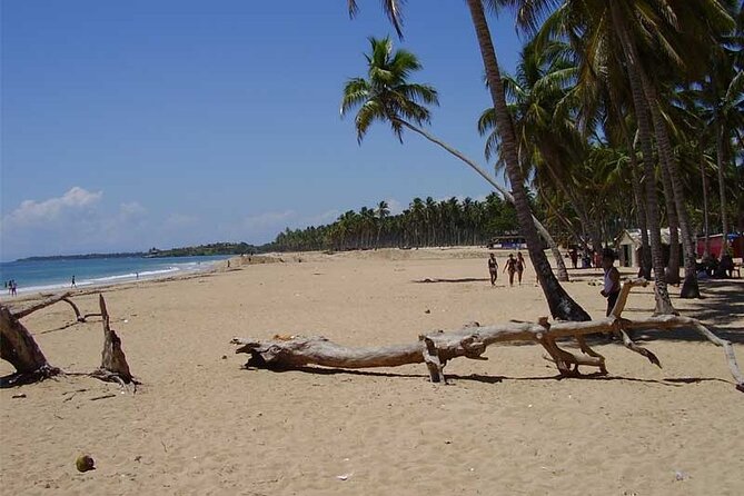 Full-Day Blue Lagoon Tour in Dominican Republic - Exploring the Blue Lagoon and Beaches in the Dominican Republic