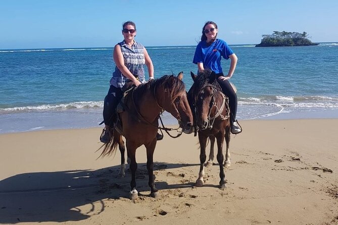 Horseback Riding on the Beach - Who Will Love This Tour?