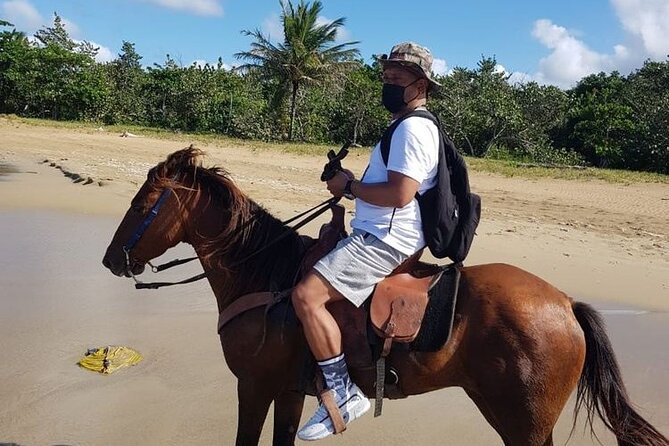 Horseback Riding on the Beach - Final Thoughts: Is It Worth It?