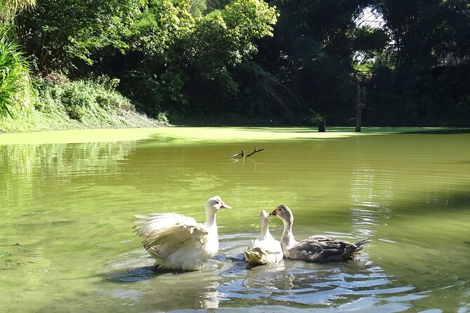 Taino Valley Tropical Park Puerto Plata Tubagua - Final Thoughts
