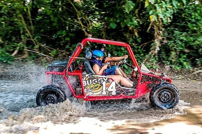 Land of Monkeys Plus ATV 4x4 Buggies Adventure in Puerto Plata - Who Should Book This Tour?