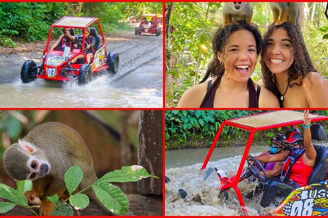 Land of Monkeys Plus ATV 4x4 Buggies Adventure in Puerto Plata - Introduction: A Day of Adventure and Authenticity in Puerto Plata