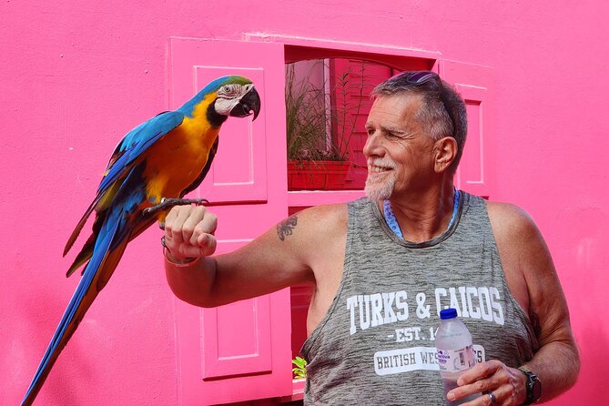 The Ultimate Puerto Plata Challenge: City & 7 Waterfalls - The Tour Overview: What to Expect