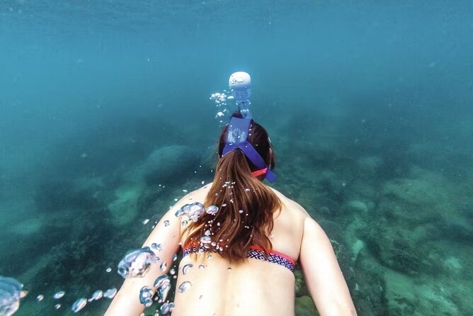 Full-Day Catamaran Snorkeling Tour with Lunch from Puerto Plata - Practical Tips for Making the Most of Your Day