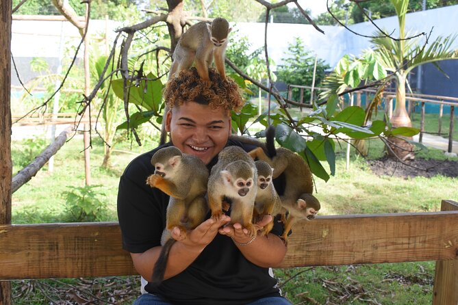 Interaction with Monkey Tour & city tour in Puerto Plata - Who Would Enjoy This Tour?