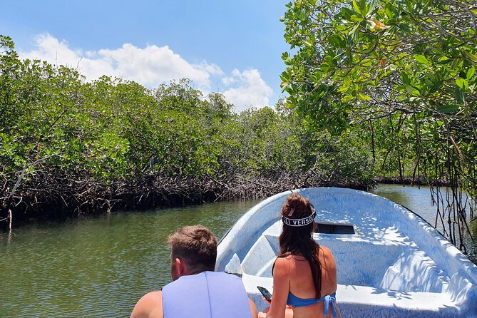 Private Tour to Paradise Island with Snorkel & Manatee Sanctuary - Key Points