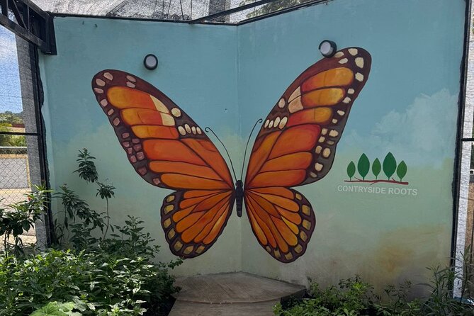 Puerto Plata City Tour with Butterfly Garden - A Full Breakdown: What to Expect on the Puerto Plata City Tour