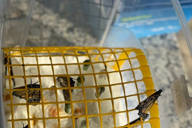 Puerto Plata City Tour with Butterfly Garden - Final Thoughts