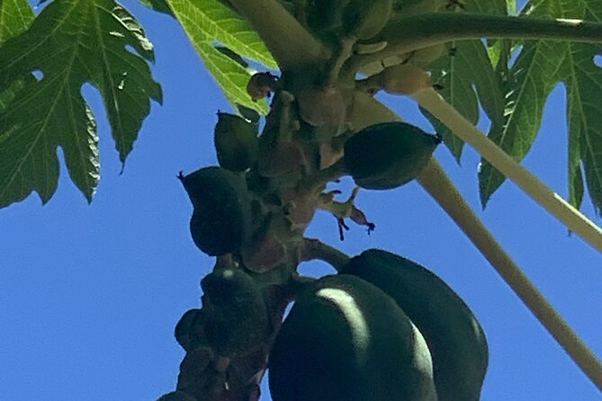 Zip line with 7 waterfall - The Sum Up