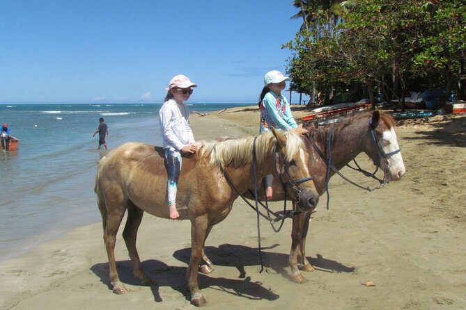 Beach Horseback Ride Tour in Puerto Plata - Scenic & Fun for All - The Sum Up: Who Should Consider This Tour