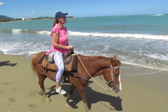 Beach Horseback Ride Tour in Puerto Plata - Scenic & Fun for All - Authentic Experiences and Reviews