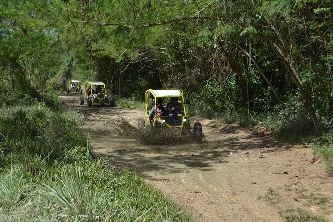 Dune Buggies Adventure - Transportation & Group Size
