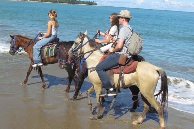 Puerto Plata City Horseback Riding Tour ,Rios,Beaches and Countryside - FAQs