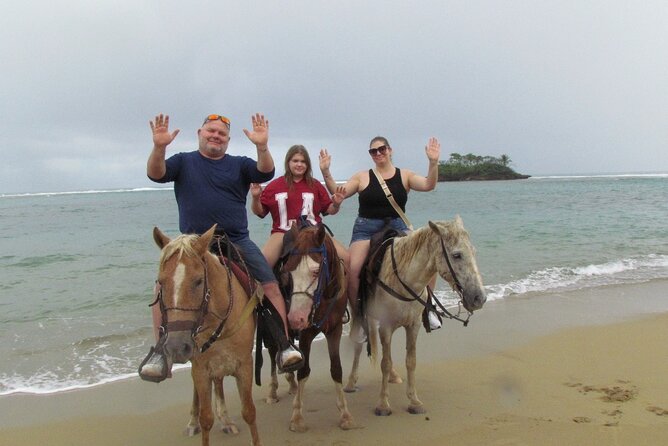 Puerto Plata City Horseback Riding Tour ,Rios,Beaches and Countryside - Final Thoughts