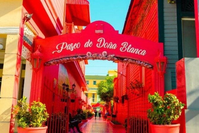 Private Transfer Puerto Plata to Cibao Airport - A Closer Look at the Private Transfer Experience