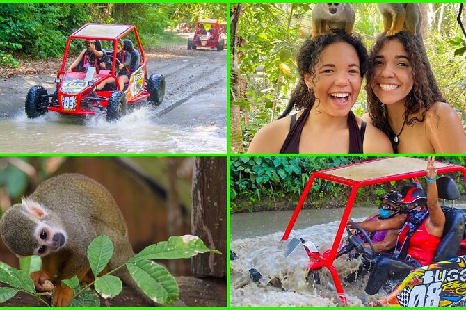 2x1: Monkeys Land Plus Drive a Dune Buggy in Puerto Plata - In-Depth Review of the Tour Experience