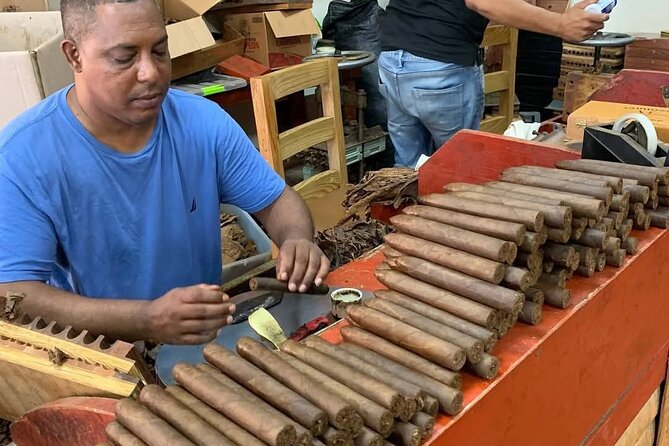 ATV Combo and City Tour in Puerto Plata - Who Will Love This Tour?