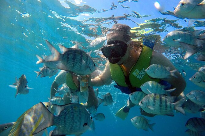 Sosua beach excursion with snorkeling included to Sosua Bay - Transportation and Convenience