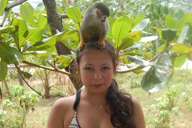 7 Damajagua & Monkey Home Tours waterfalls - The Sum Up