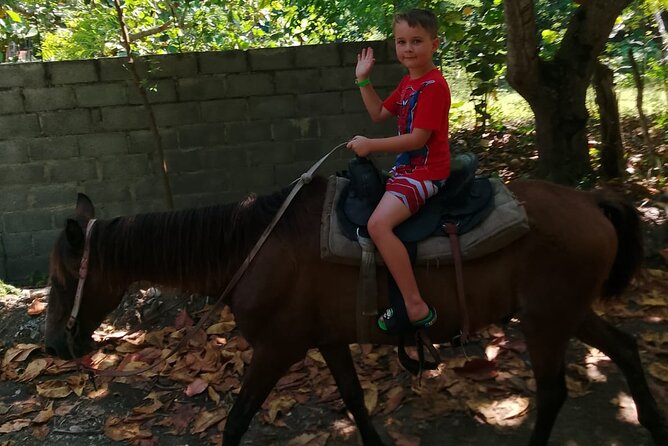 Combo : Waterfalls and Horseback Riding with Authentic Dominican Lunch - FAQ