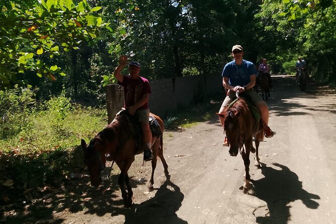 Combo : Waterfalls and Horseback Riding with Authentic Dominican Lunch - The Value of This Tour