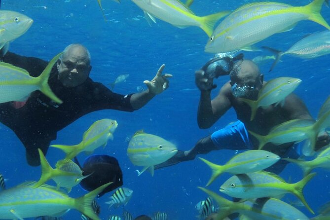 VIP Party Boat & Snorkeling - Who Is This Tour Best For?