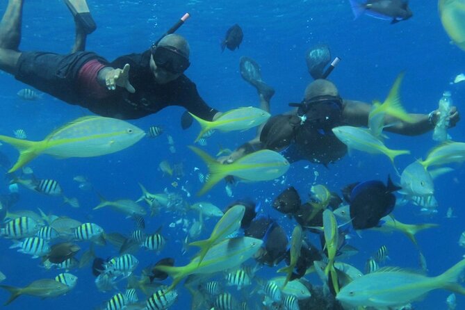 VIP Party Boat & Snorkeling - FAQ