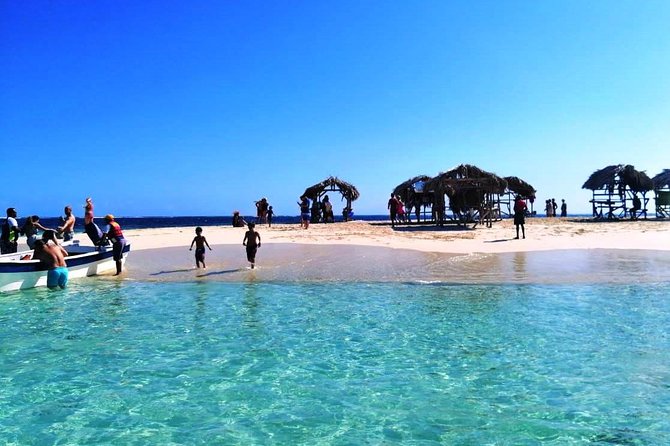 Paradise Island & Mangroves Tour - Authentic Insights from Travelers