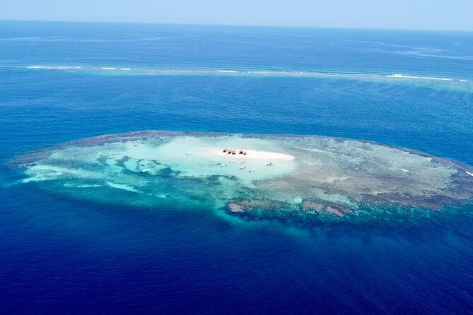 Cayo Arena, Paradise Island Tour - What Travelers Say