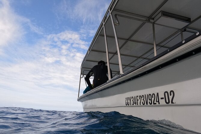 Puerto Plata Shore Excursion, Snorkeling tour & Sosua Beach Day - The Sum Up