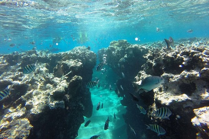 Puerto Plata Shore Excursion, Snorkeling tour & Sosua Beach Day - FAQ