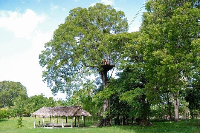 Mega Adrenaline - Equipment and Safety