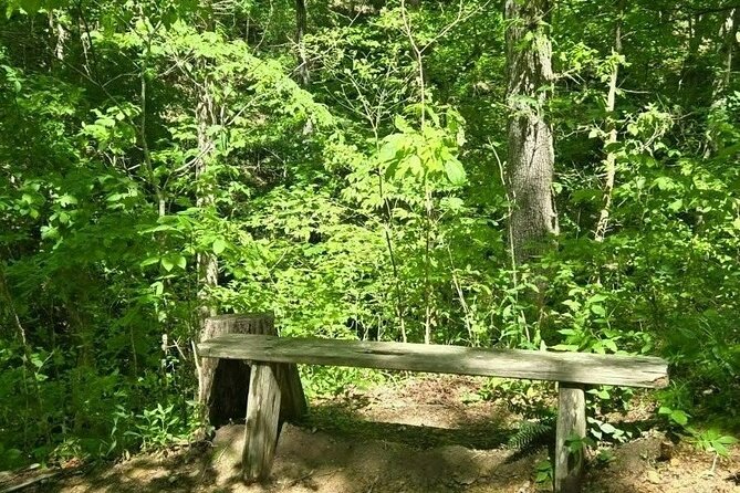 Meditative, Forest Bathing Hike followed by Yoga on the Deck - Final Thoughts: A Calm, Authentic Experience in Nashville