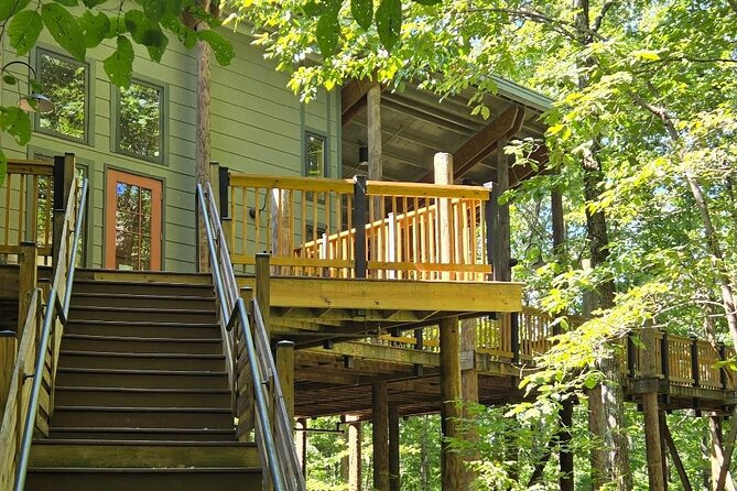 Meditative, Forest Bathing Hike followed by Yoga on the Deck - A Deep Dive into the Forest Bathing Hike and Yoga Experience