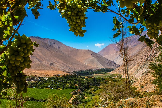 Elqui Valley: Cruise Excursion in Coquimbo - Discover the Elqui Valley: A Day of Scenic Beauty and Cultural Riches from Coquimbo