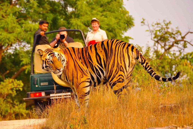 Private Golden Triangle Delhi Agra Jaipur with Ranthambore - What Does This Tour Offer That Others Might Not?