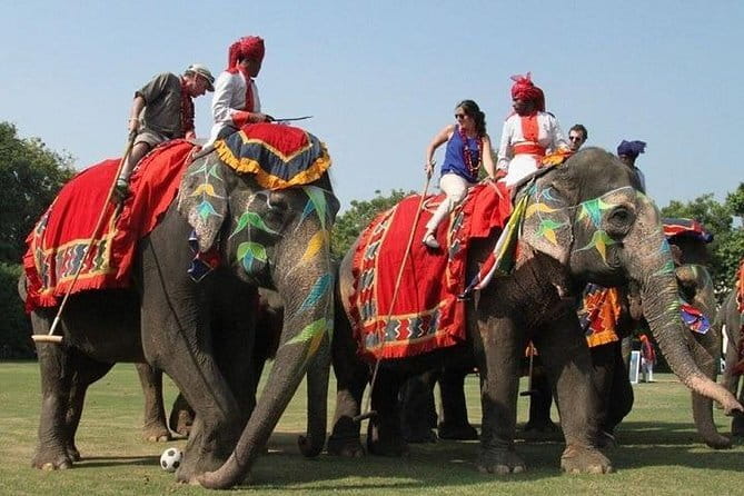 Gurugram To Jaipur One Day Road Trip - What to Expect on the Day