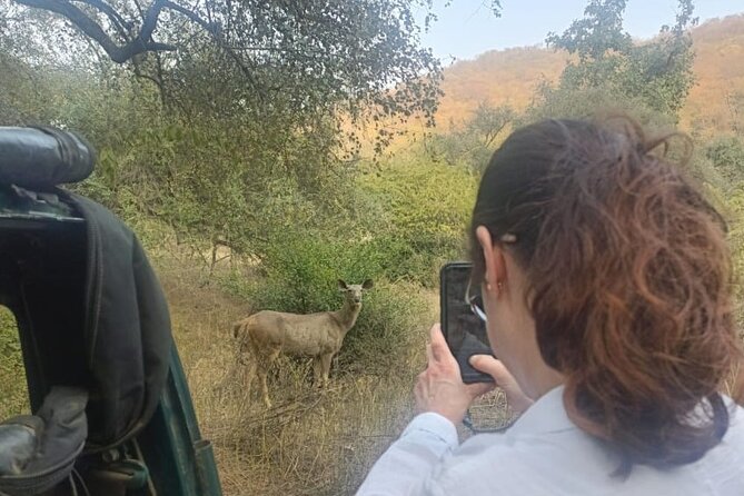 2 Days Sariska Wildlife and Heritage Escape from Delhi - Key Points