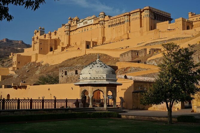 From Delhi: Same Day Amer Fort & Jaipur Tour By Car - Final Thoughts