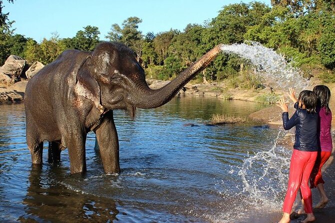 Family Delhi Heritage and Wildlife Tour in Mathura SOS - Final Thoughts: Who Is This Tour Perfect For?