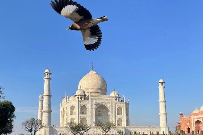 From Delhi Private Taj Mahal Sunrise and Agra Day Tour By Car - The Journey Begins: From Delhi to Agra