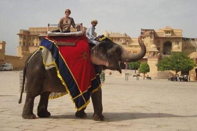 Jaipur Tour Pink City by Car From Delhi All Inclusive - Final Words