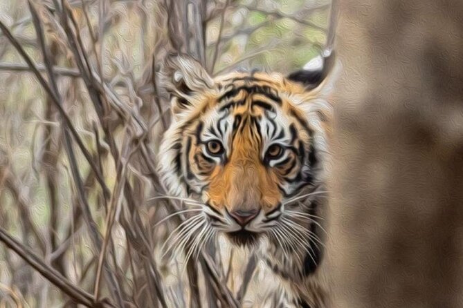 05 Days - Private Luxury Golden Triangle Tour with Ranthambore - The Value of This Tour