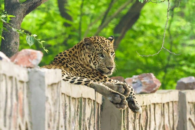 05 Days - Private Luxury Golden Triangle Tour with Ranthambore - Exploring the Itinerary in Detail