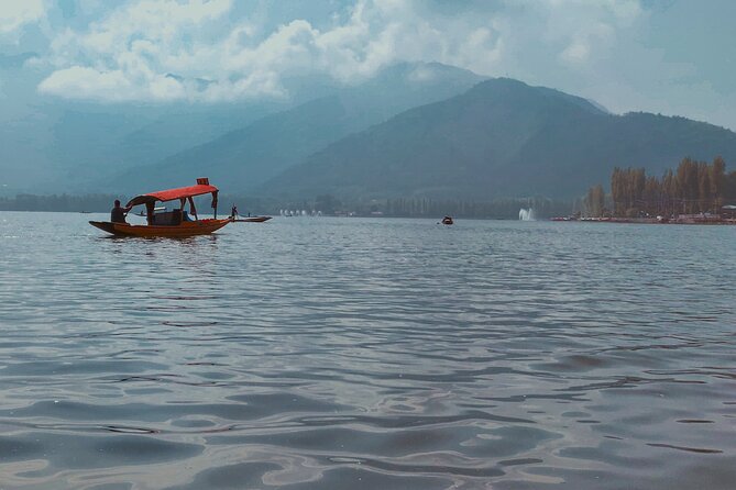 Northern Indian Tapestry On Private Jet - Detailed Breakdown of the Itinerary