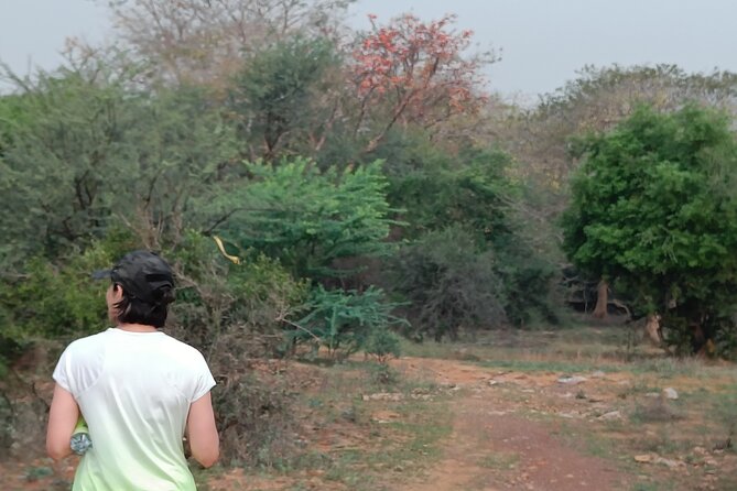 Forest Trail Hiking Adventure-Gurgaon by @Aravali.Hikes - Who Should Consider This Tour?